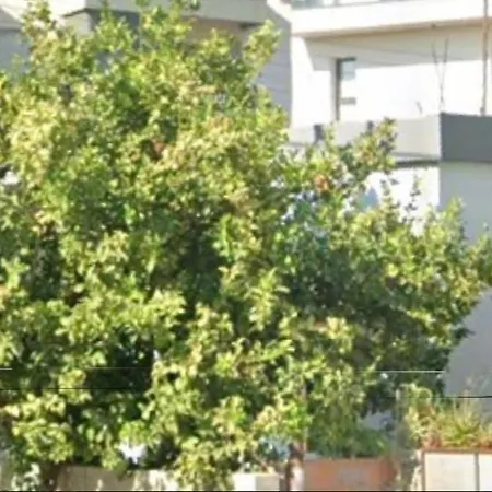 Kwatera prywatna Xrysanthis Kaouris *
